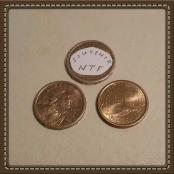 NTF Dollar Souvenir Coin 