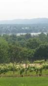 On the water; zoomed in view of Ferry from Buffalo Mountain