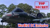 WarBird OC Exclusive